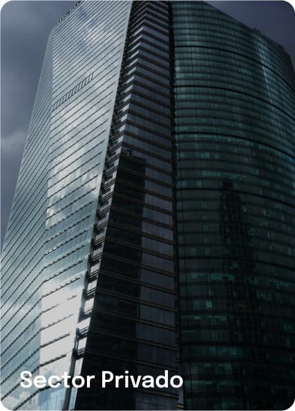 Sector Privado